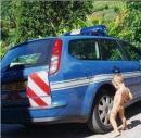 Avatar du membre