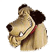 Avatar du membre