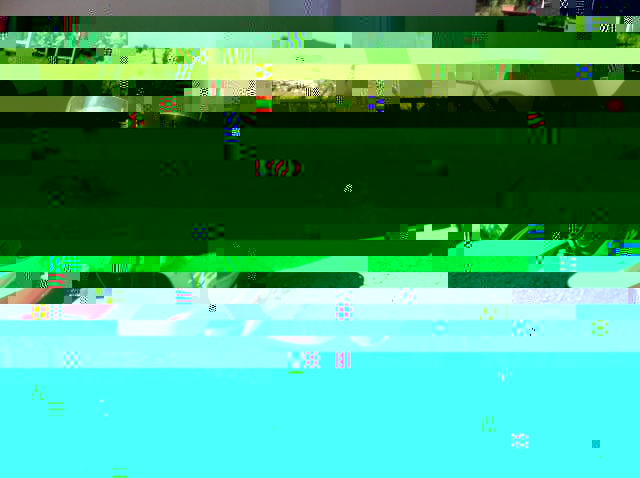 h.JPG